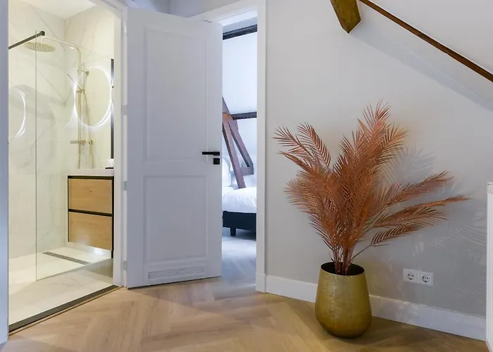 Novallure Short Leidschendam