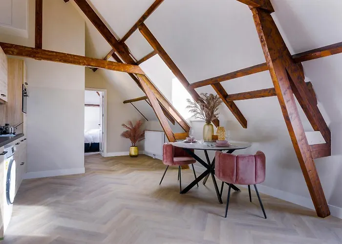 Hotel Novallure Short